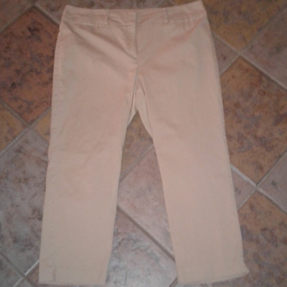 Ann Taylor Factory Curvy Khaki Ankle Pants